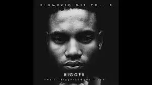 Bigger  Bigmuzic Mix Vol. 8