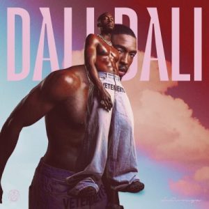 Daliwonga – Abangani Bakho ft Sha Sha, Tyler ICU & Xolani Guitars