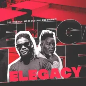 Dj Luvas – ELegacy ft Mr M, Ceeyaah & Profezi